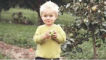 Enfant à Knowlton qui mange une pomme d'un pommier planté par Emondage Lac-Brome.